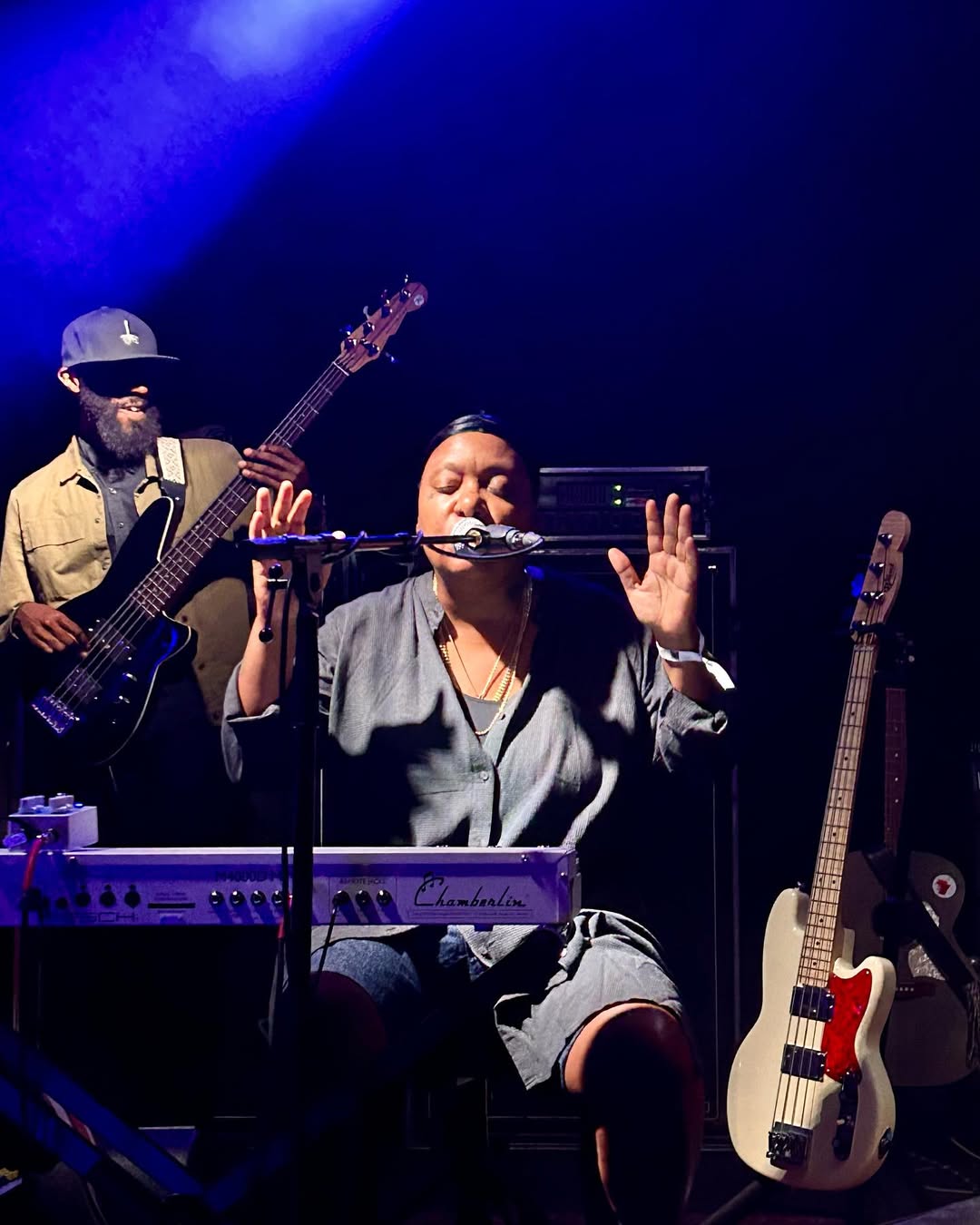 Meshell Ndegeocello